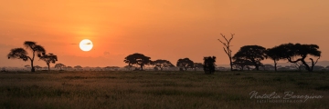 KE1-NB086A9592-P