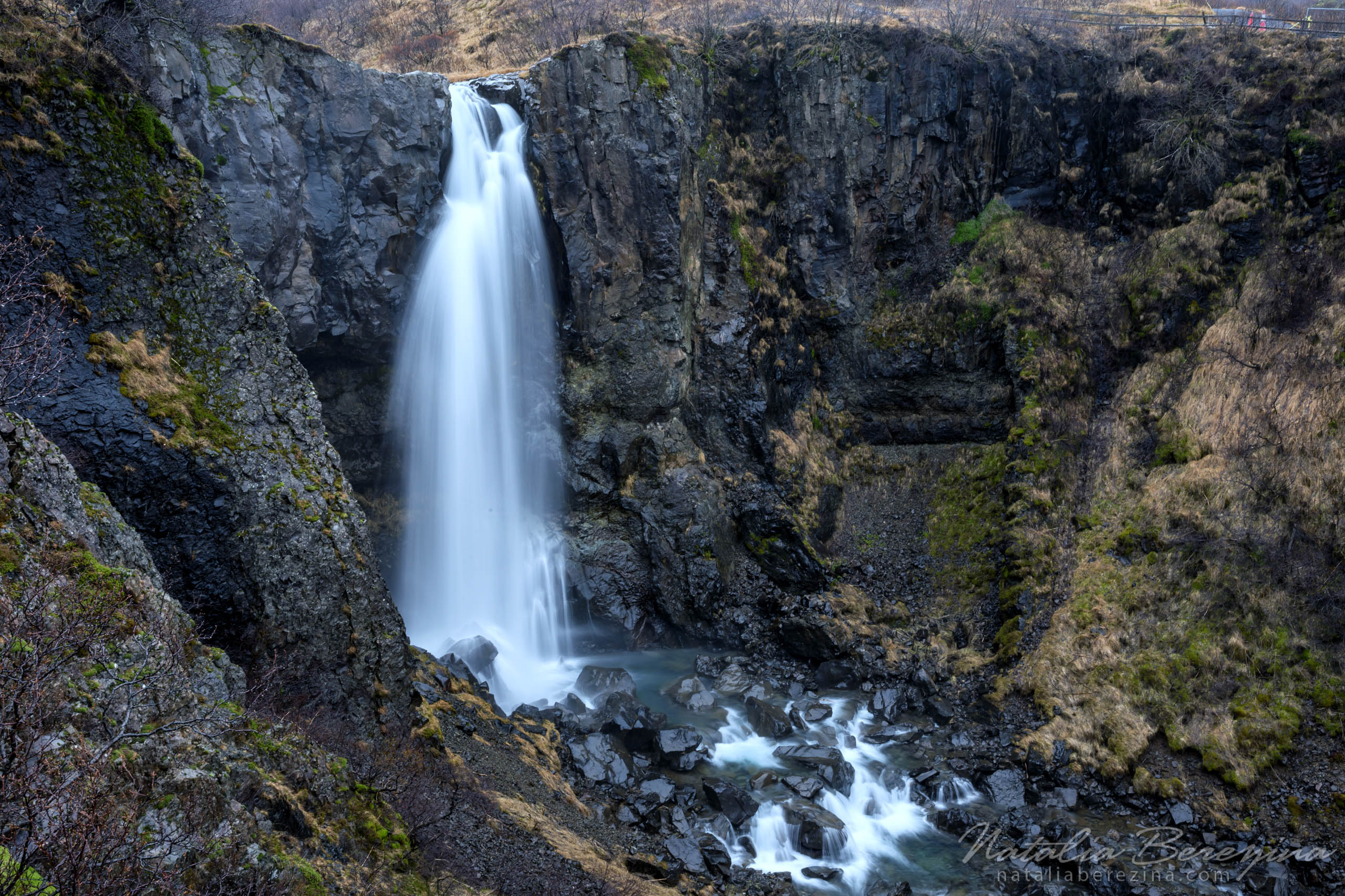 Natalia Berezina Photography