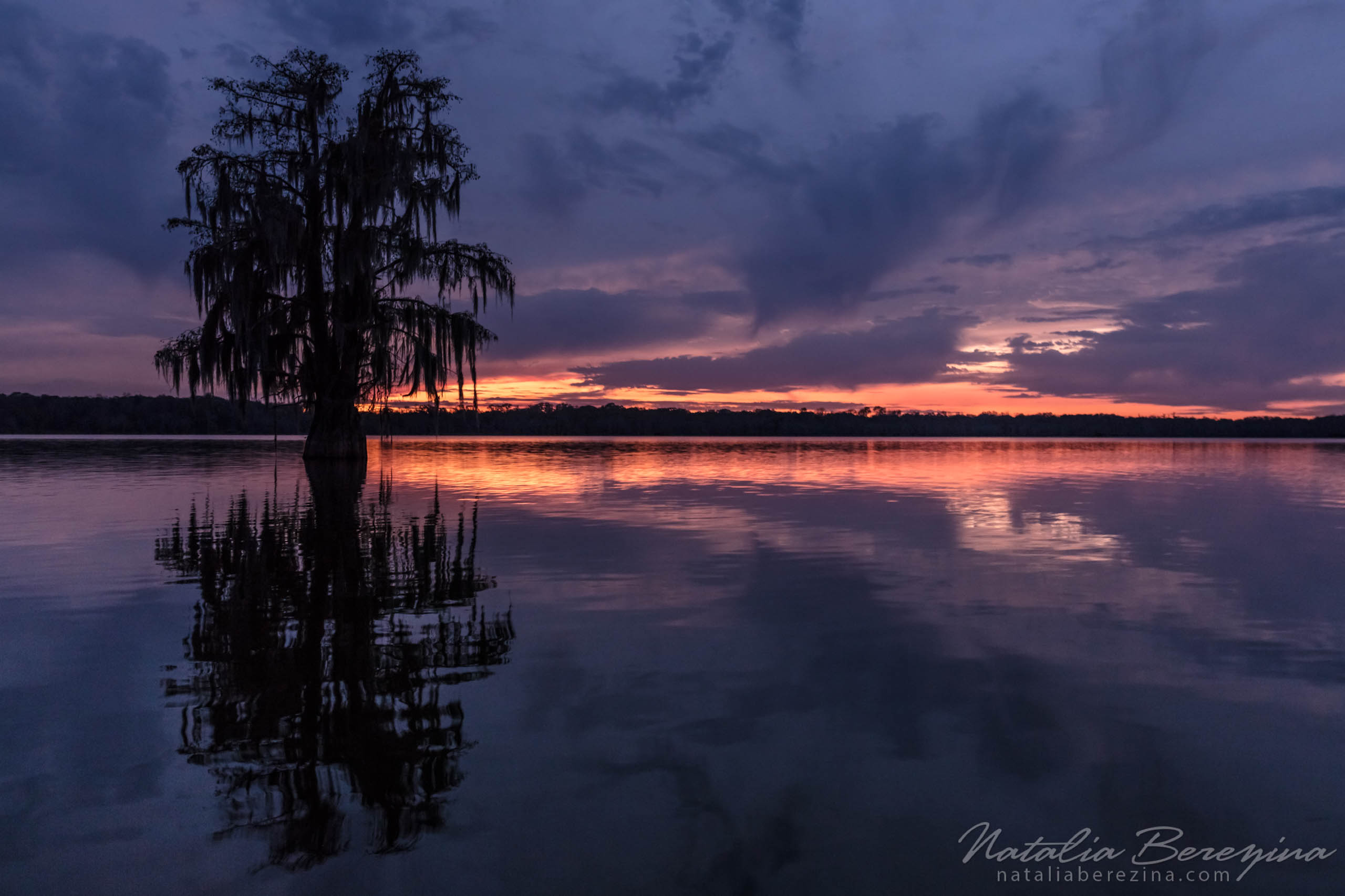 Natalia Berezina Photography