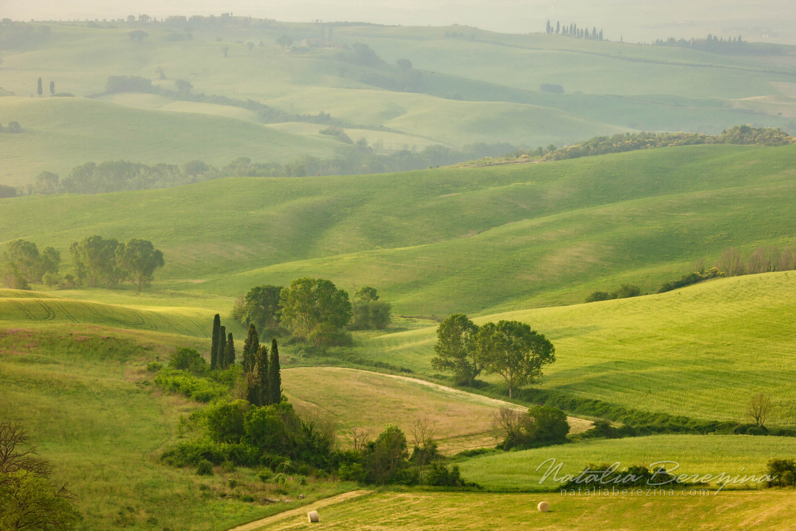 Natalia Berezina Photography