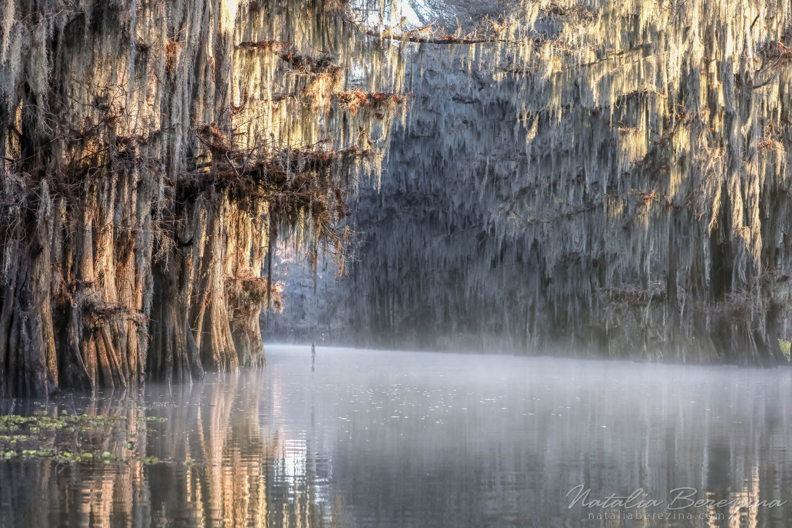 Natalia Berezina Photography