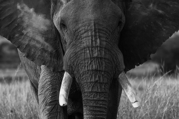 True Africa. As it is - Landscape, Nature and Cityscape Photography - Natalia Berezina Photography